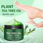 Beruhigende Fußcreme mit Aloe Vera und Teebaumöl