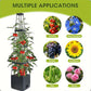 📢Mid-Season Sale: −50% nur für kurze Zeit⏰🌿 Kletterhilfe-Pflanzkasten inkl. Rankgitter – ideal für Tomaten, Bohnen, Efeu, auch für Dachgärten & Gewächshäuser